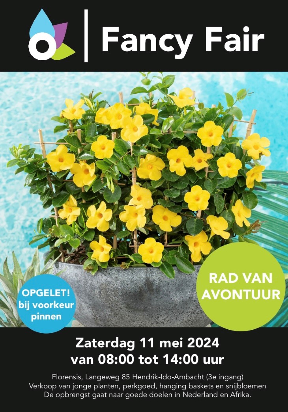 Florensis Fancy Fair folder algemeen